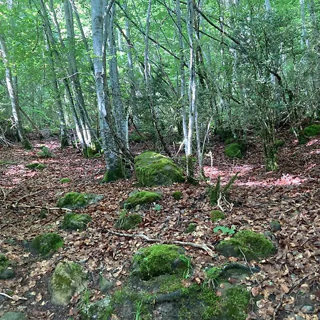 Apartamento Casa Martin