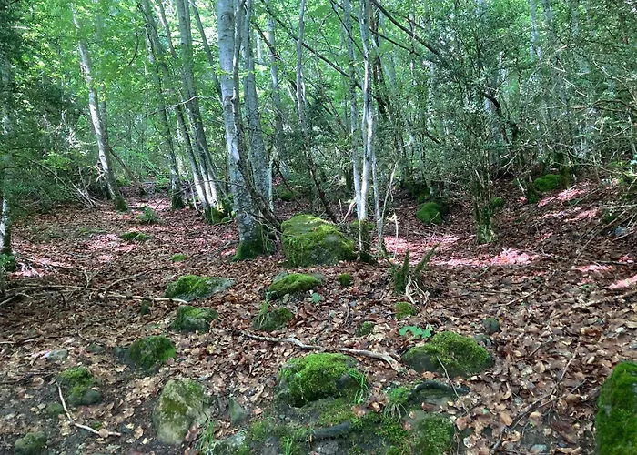 Apartment Casa Martin